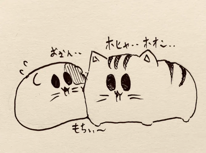 おはよう🐱🐯 