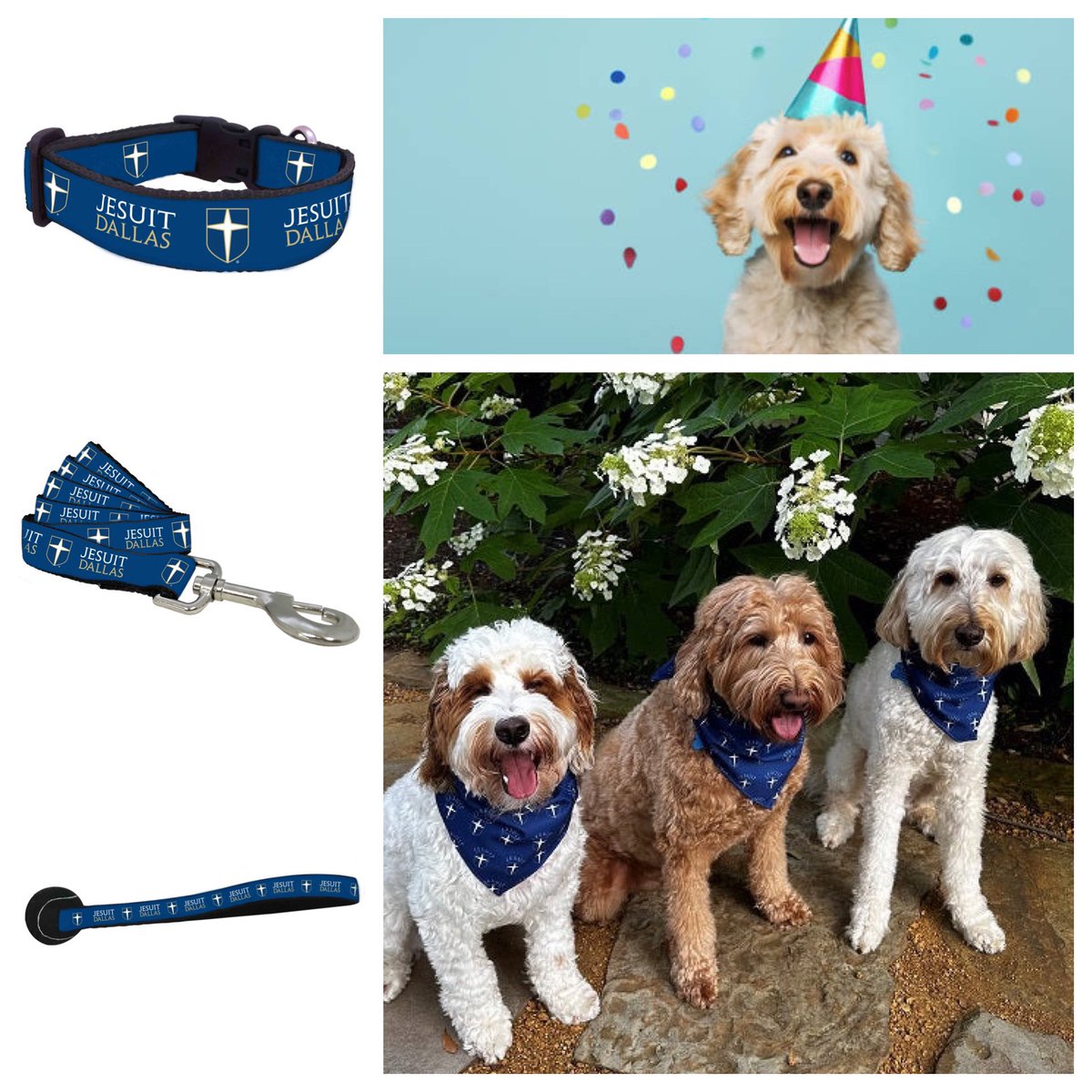 RangerConnect's tweet photo. Are your furry family members  feeling left out? Pick up a bandana, collar, leash, and dog toy so they can show their Ranger pride! They will look “paw”sitively perfect for Easter, graduation parties and at the dog park. https://t.co/tmeZwJNdWE