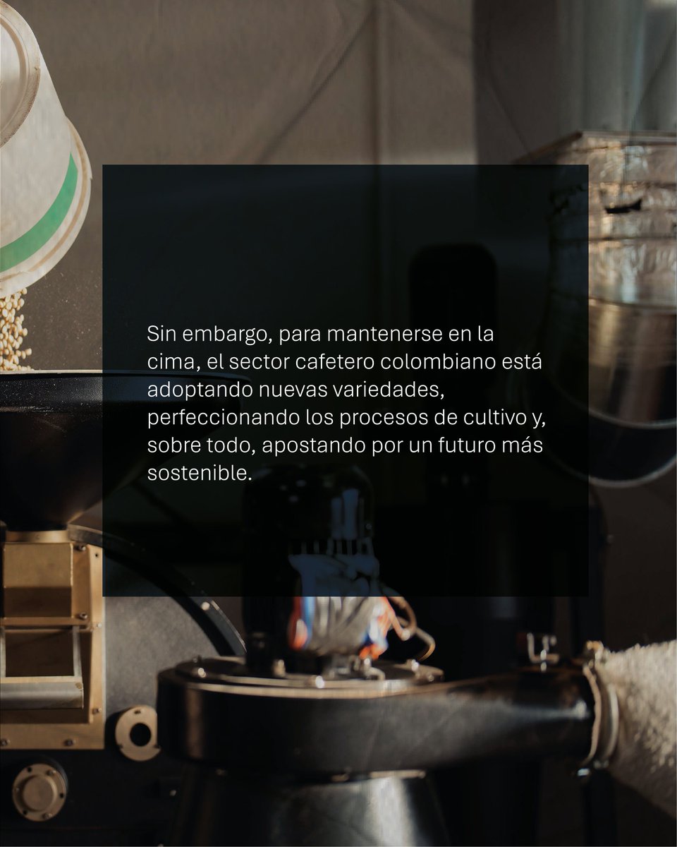 El futuro del café colombiano: tradición, innovación y sostenibilidad 🌱 

Colombia ha sido un referente global en café de alta calidad por más de 200 años. 

Ahora, el sector se transforma con nuevas variedades, procesos más sostenibles y un enfoque en la innovación para