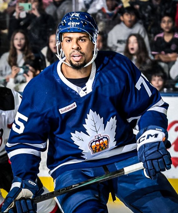 Ryan Reaves was phased out of Leafs’ lineup after underwhelming year, could this be the end?