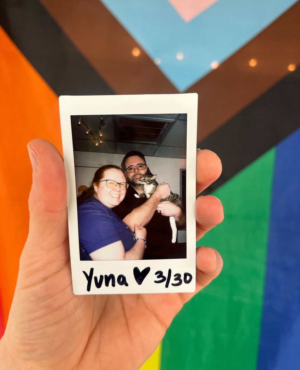Adoption # 512...Yuna! These lovely humans felt an immediate connection to Yuna in their visit, even though it took us a while to confirm it was Yuna since we had five tabbies in the room 😂 We are so glad they got to take this super sweet girl home with them. Congrats Yuna 💛