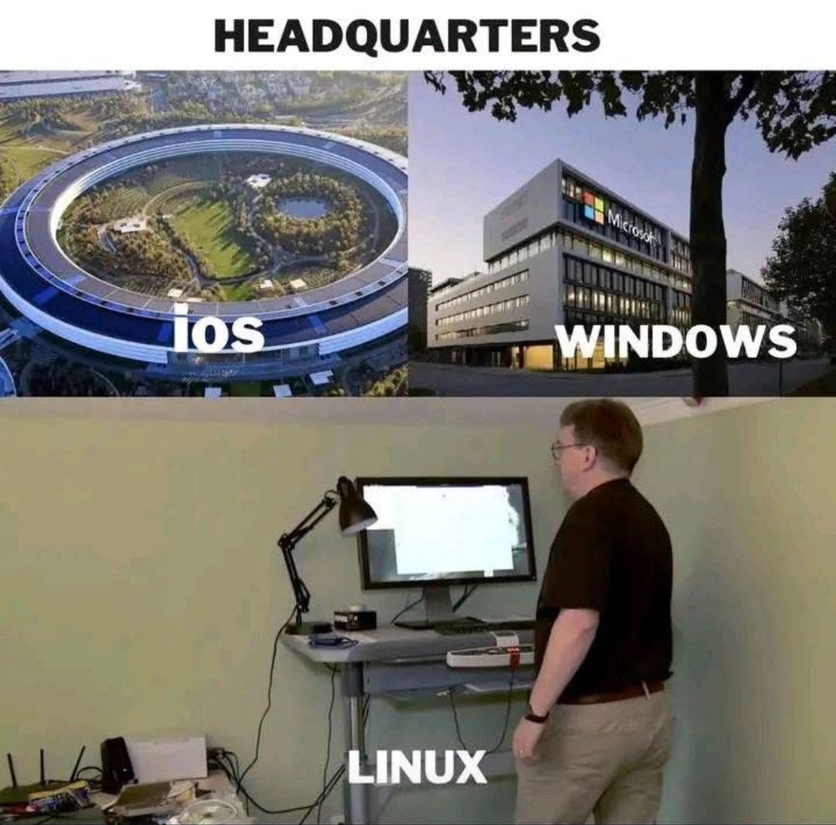 Security Trybe (@securitytrybe) on Twitter photo 