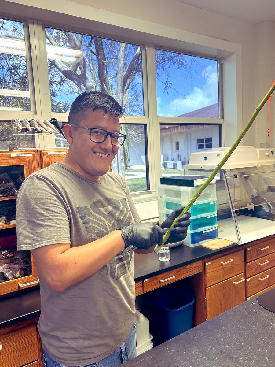 Tropical Plant Clinic & Research Lab tweet media