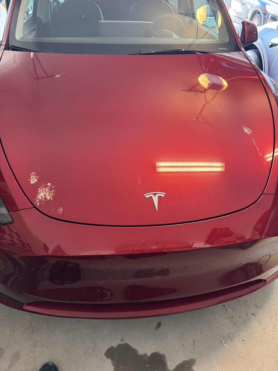 Bird poop has been on the car for several days now… the cleaning boy has neglected his duties.  Also, the birds never pooped on the X like they do this one.  <a href="/BeardedTesla/">Bearded Tesla</a>