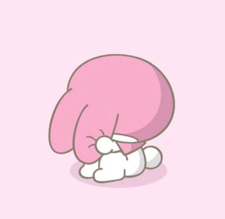 lemon socks tweet media