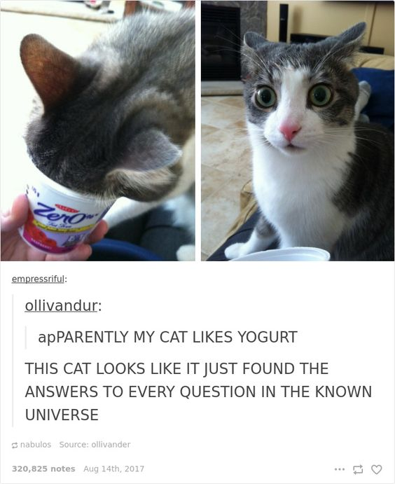 WholesomeMeme's tweet photo. https://t.co/R9slX0UFl9