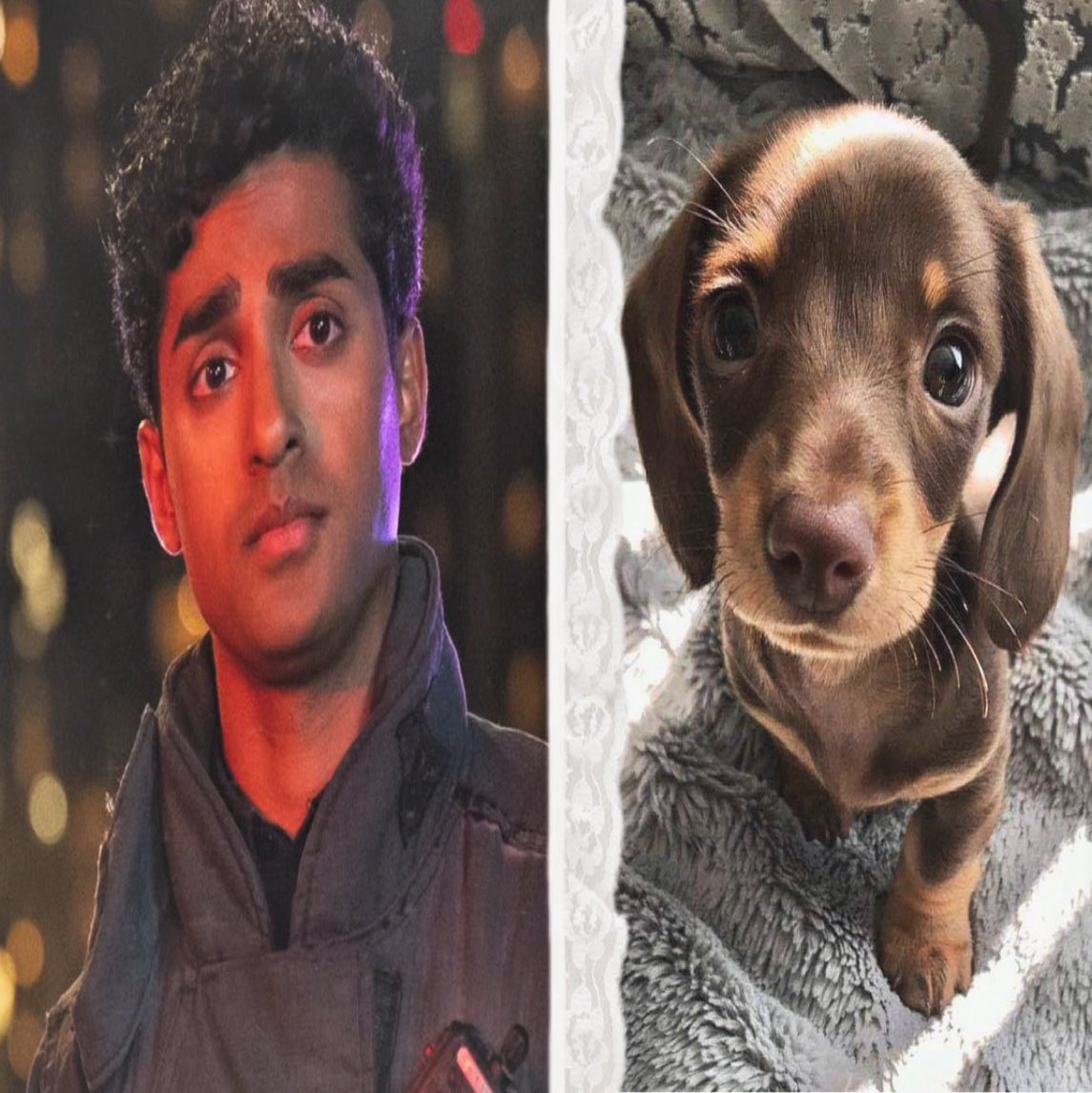 ravi puppy eyes panikkar