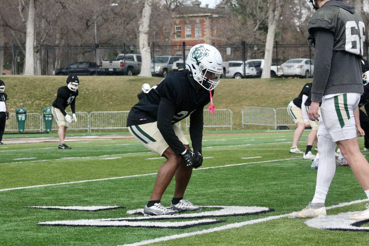 Rocky Mountain College Battlin' Bears (@battlinbears) on Twitter photo We’re under two weeks away from <a href="/Rocky_Football/">Rocky Football</a>’s annual spring game!
Join us on Saturday, April 12th at 2:30pm on Herb Klindt Field and stick around for Bear Bash at 5:00pm!
Haven’t gotten your ticket? Get them NOW ⬇️
🎟️: gobattlinbears.com/sports/2025/2/…
#GoBattlinBears We’re under two weeks away from <a href="/Rocky_Football/">Rocky Football</a>’s annual spring game!
Join us on Saturday, April 12th at 2:30pm on Herb Klindt Field and stick around for Bear Bash at 5:00pm!
Haven’t gotten your ticket? Get them NOW ⬇️
🎟️: gobattlinbears.com/sports/2025/2/…
#GoBattlinBears