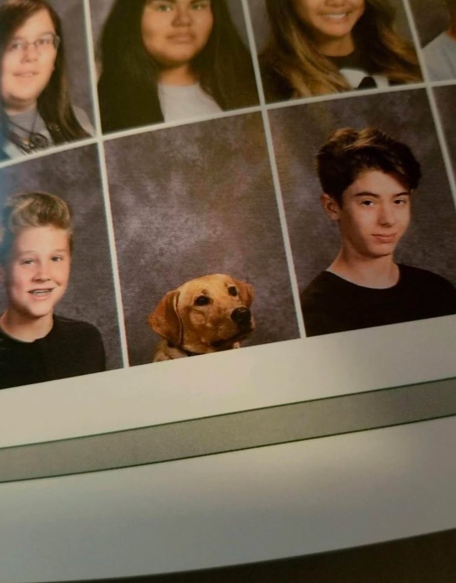 💖 (@twaniimals) on Twitter photo 