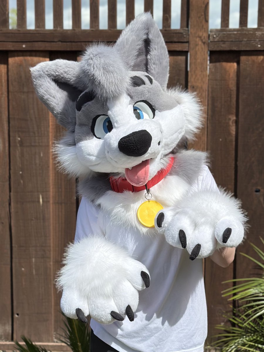 Dum Dog Studios tweet media