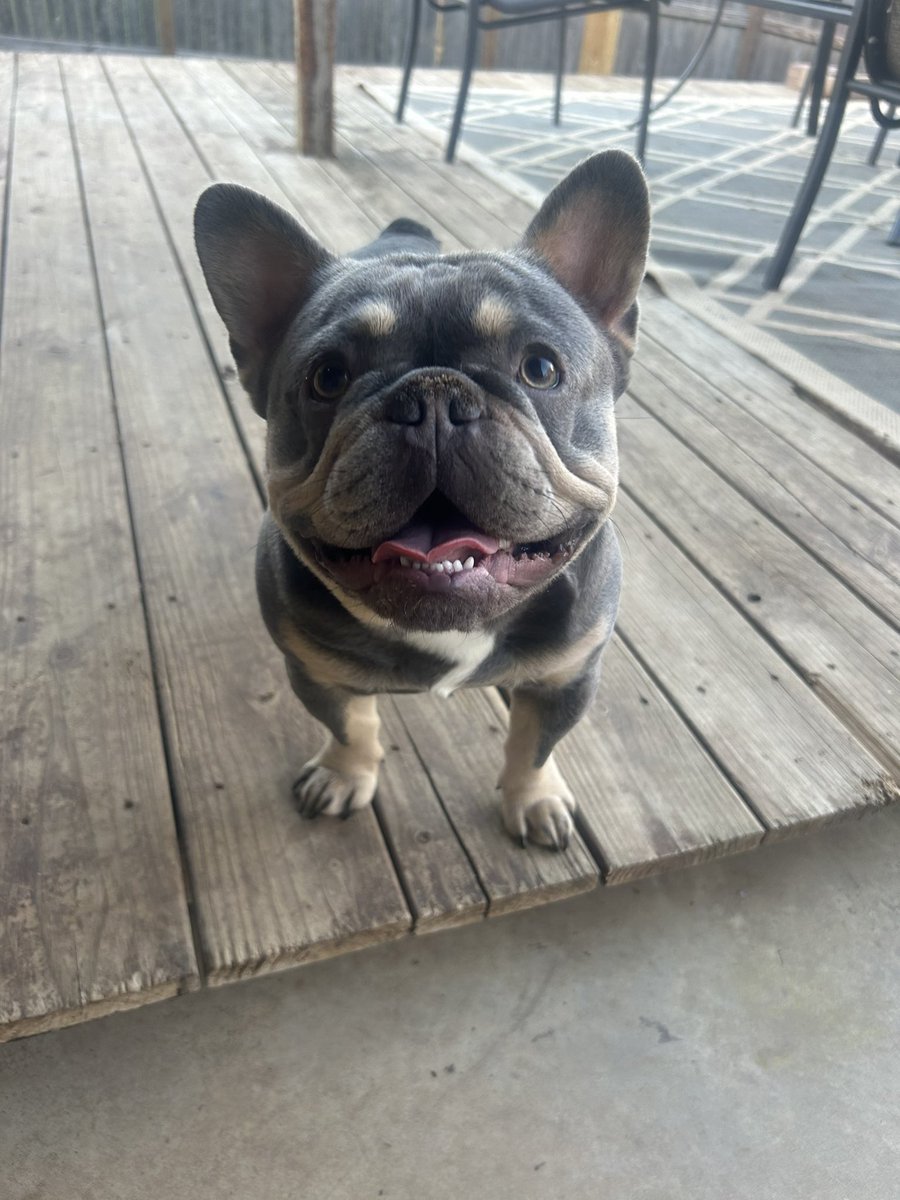 He is so very happy!