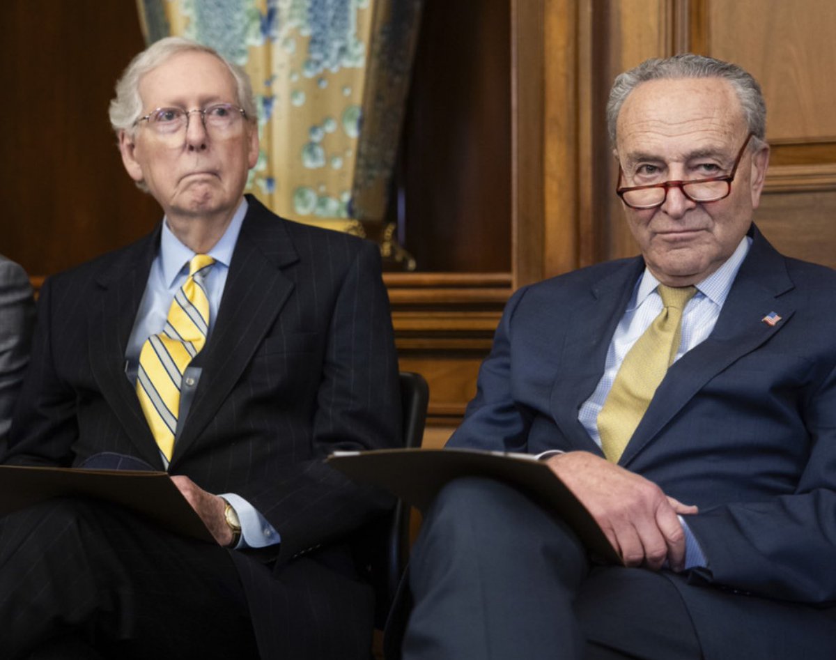 Raise your hand if you want RINO Senator Mitch Traitor McConnell to be Voted out of the Senate