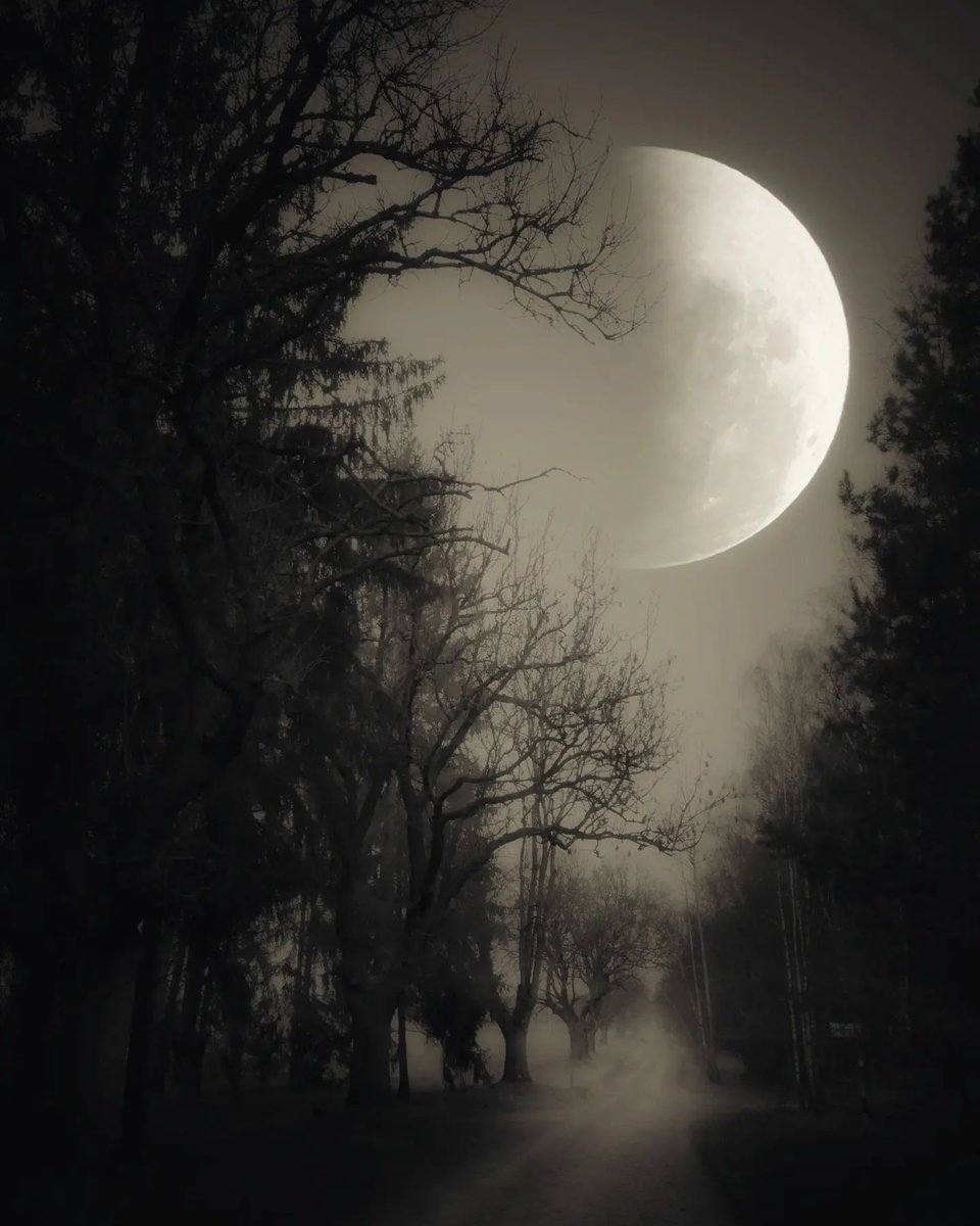 .
.

Good night

──────🖤 🤍──────

.
.