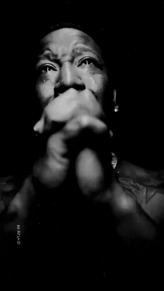 mitsu/shark tweet media