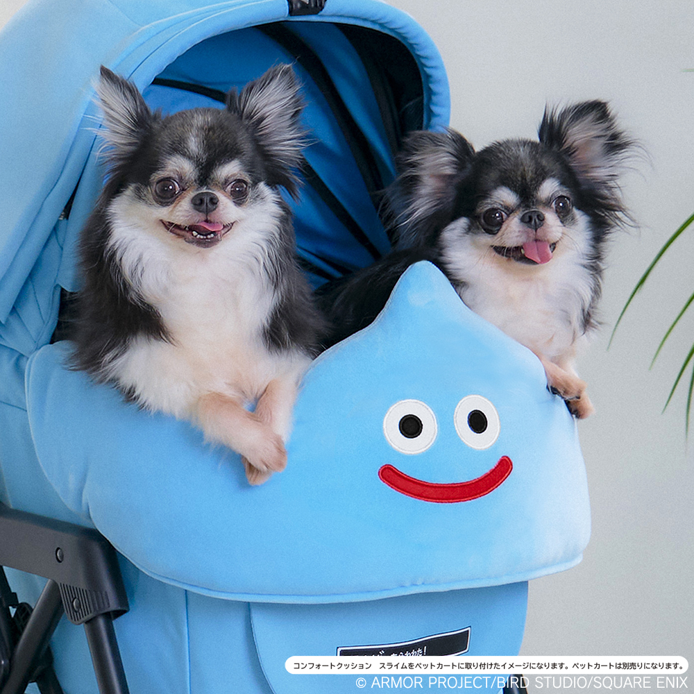 🐶ペットグッズ情報 1/5🐱 ―かけがえのない家族と一緒に過ごす日常も