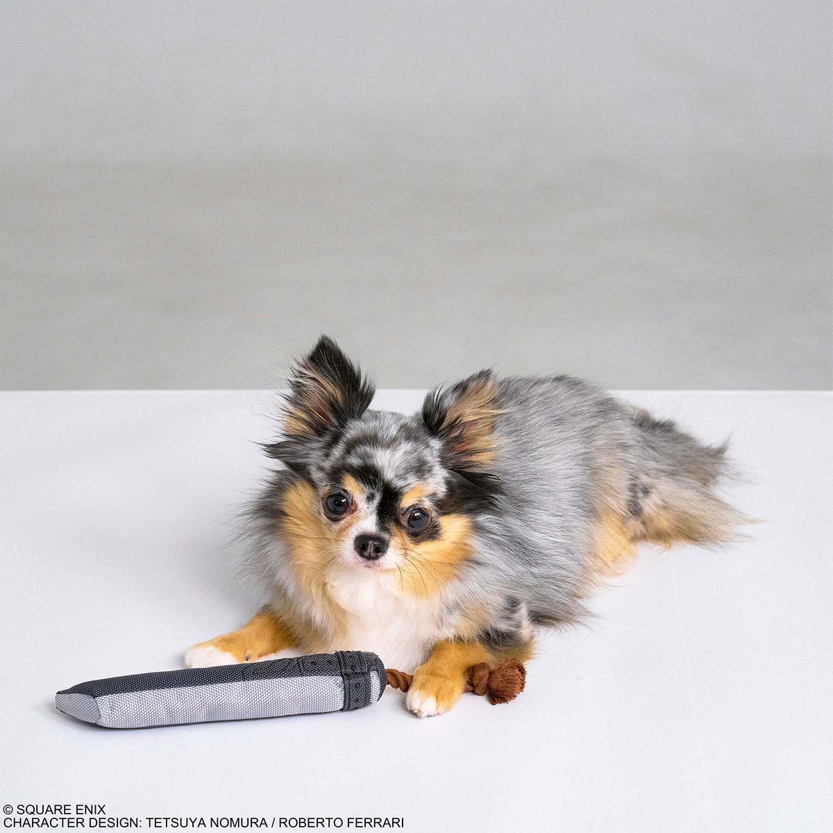 🐶ペットグッズ情報 3/5🐱 ファイナルファンタジー のペットグッズ