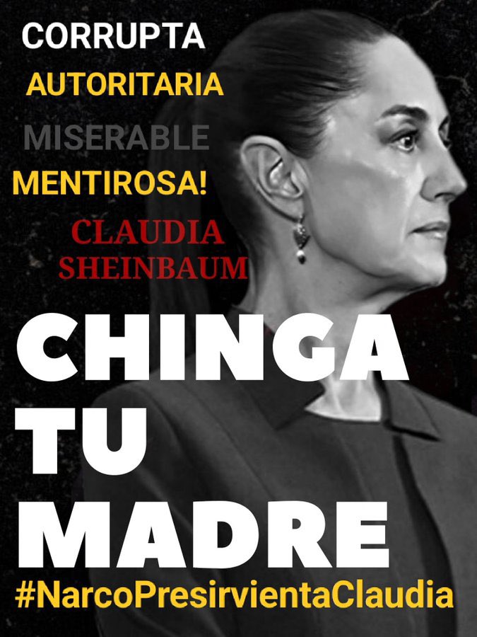 saiselgi_1992's tweet image. Esta imagen la fijaré hasta el fin del sexenio.