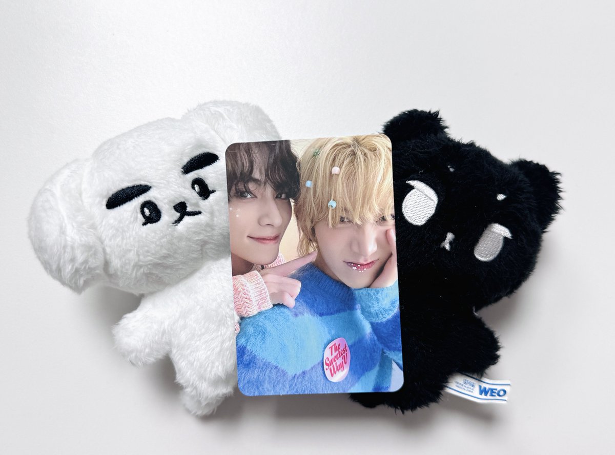 나시 tweet media