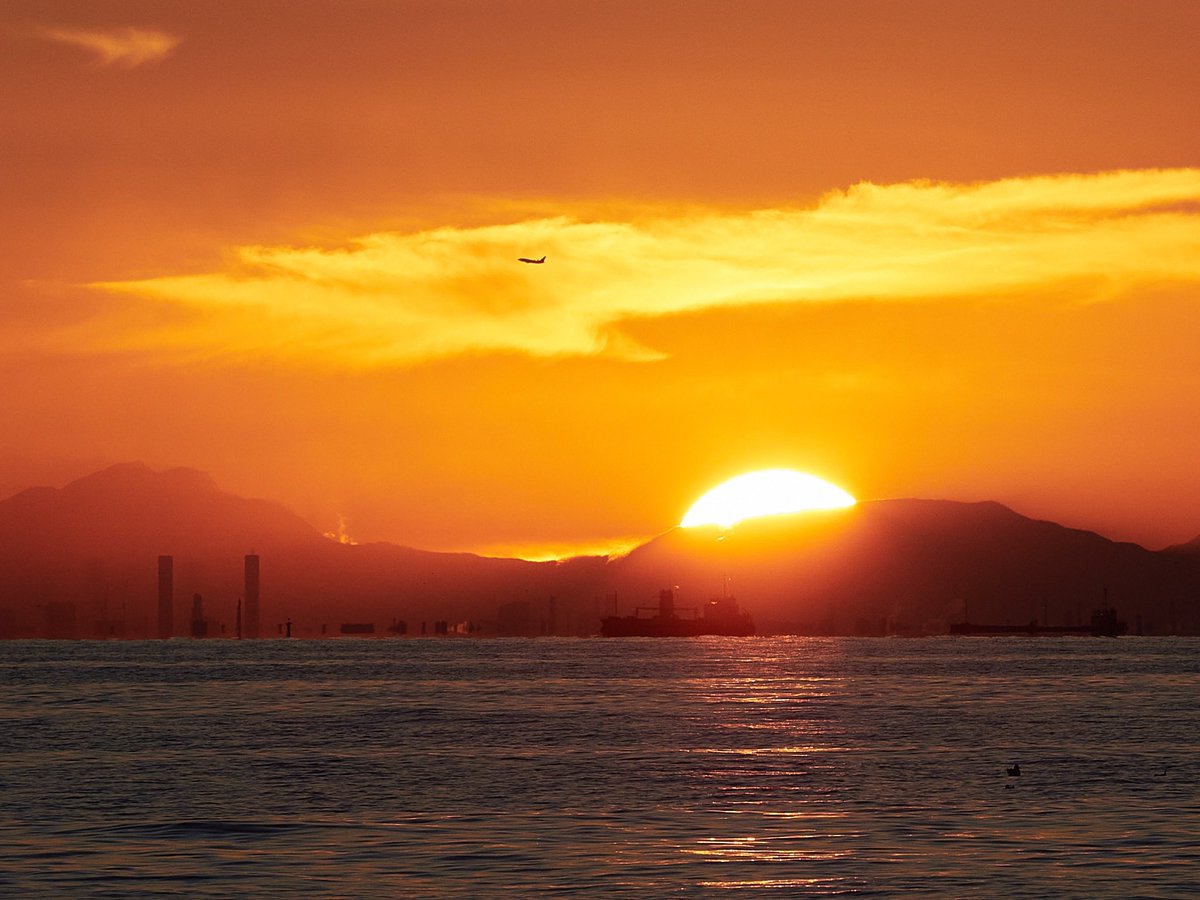 エヌ氏 tweet media