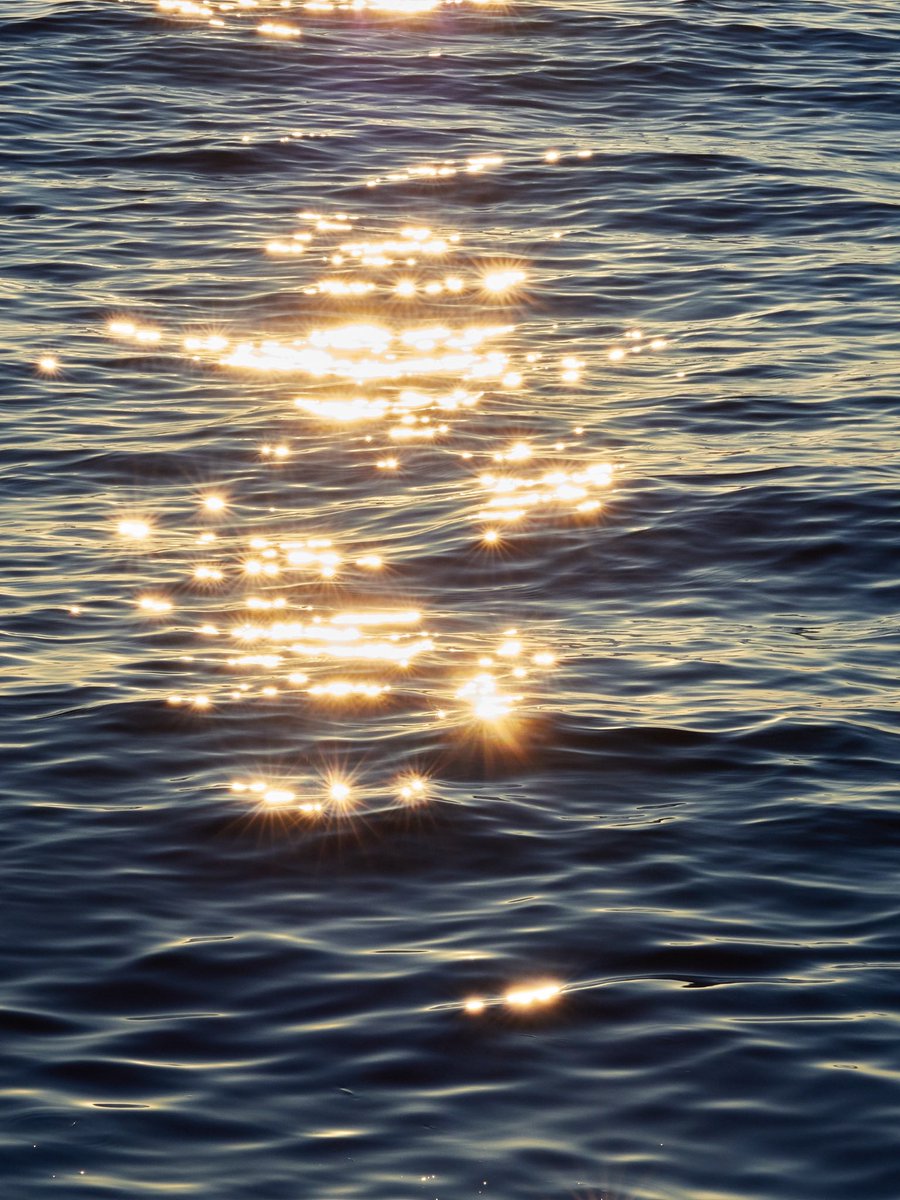 エヌ氏 tweet media