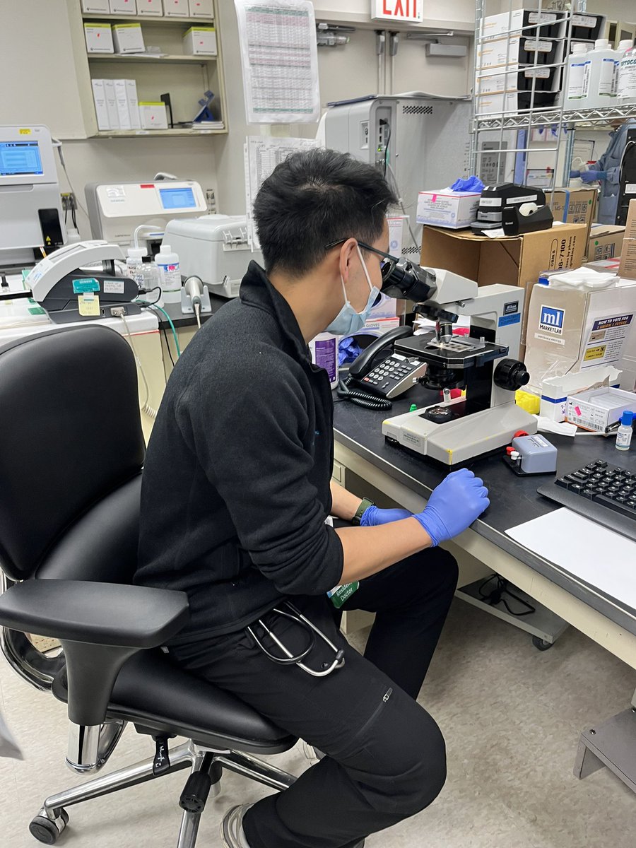 Spinning in circles over uuuurine
 🔬 <a href="/garytan513/">Gary Tan</a> <a href="/HofNorthwellDOM/">Northwell Department of Medicine</a> <a href="/HofstraKidney/">HofNorthwell Kidney</a> <a href="/danielwross4/">Daniel</a>