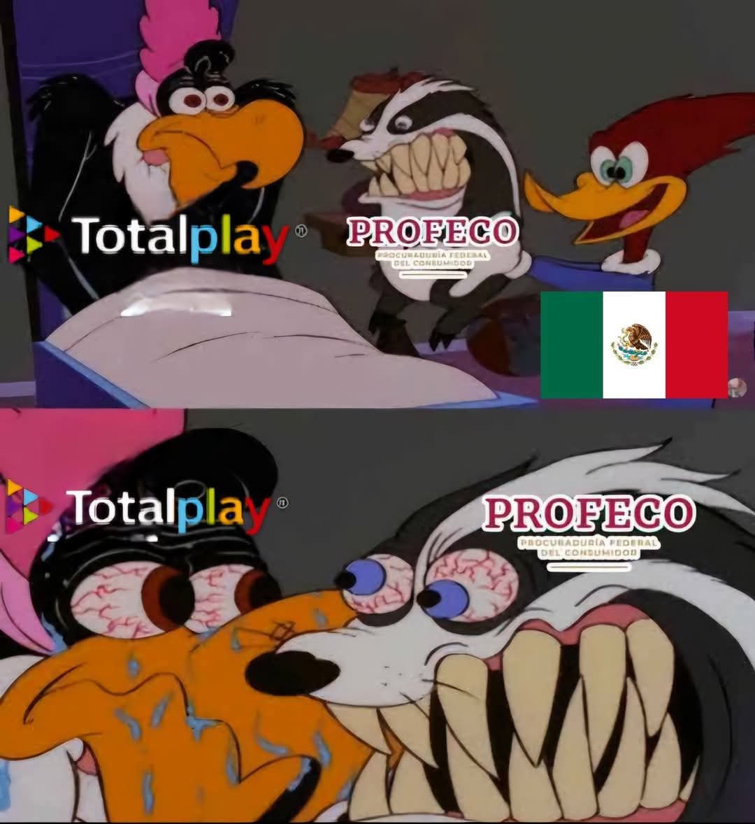 Troll_FootbaIl's tweet image. Que decías Totalplay