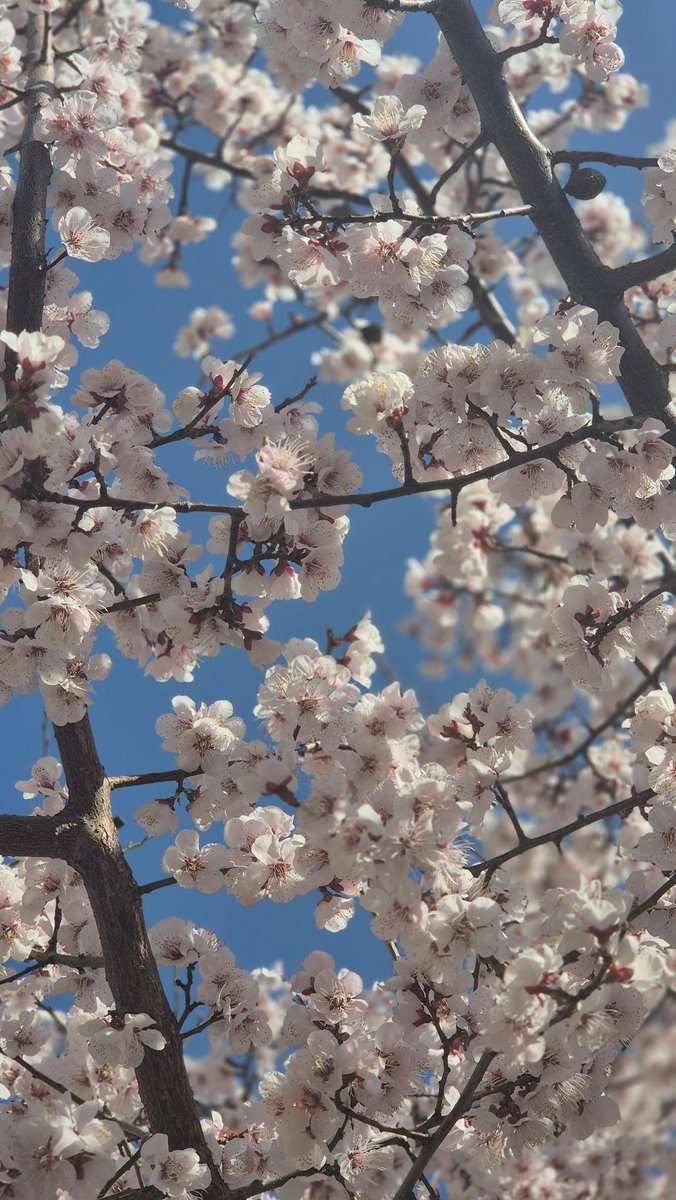 ✦오요✦OYO (@oyo_oyooo) on Twitter photo 