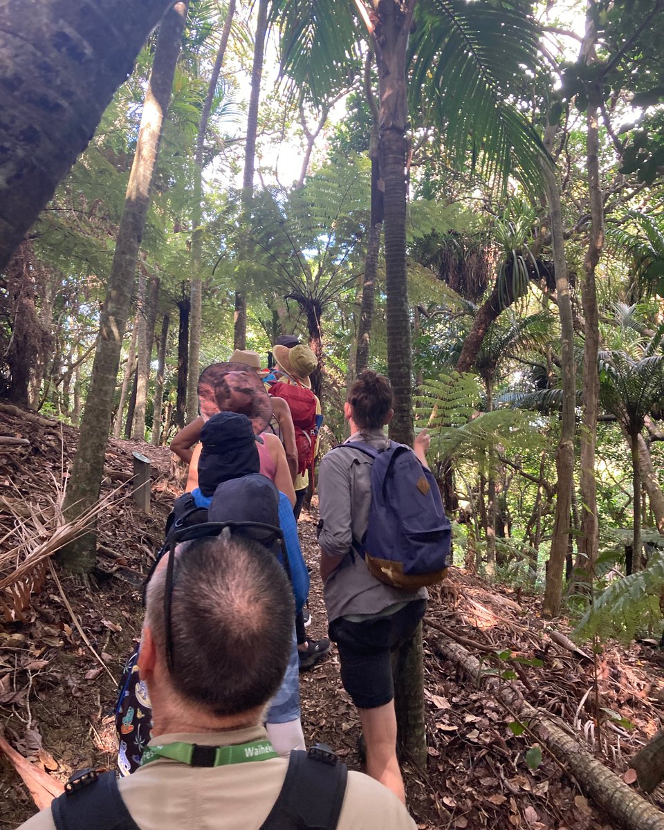Super turnout for 'Bring Back the Birdsong' walk! 🐦🌱 Sunday's Waiheke Walking Festival saw a scenic Whakanewha loop, with talks from Owain Tanner on insects &amp; birds, Miranda Andrews on stoat eradication, and Ranger Harry Raby on plants. #nature #birds #waiheke #pf2050