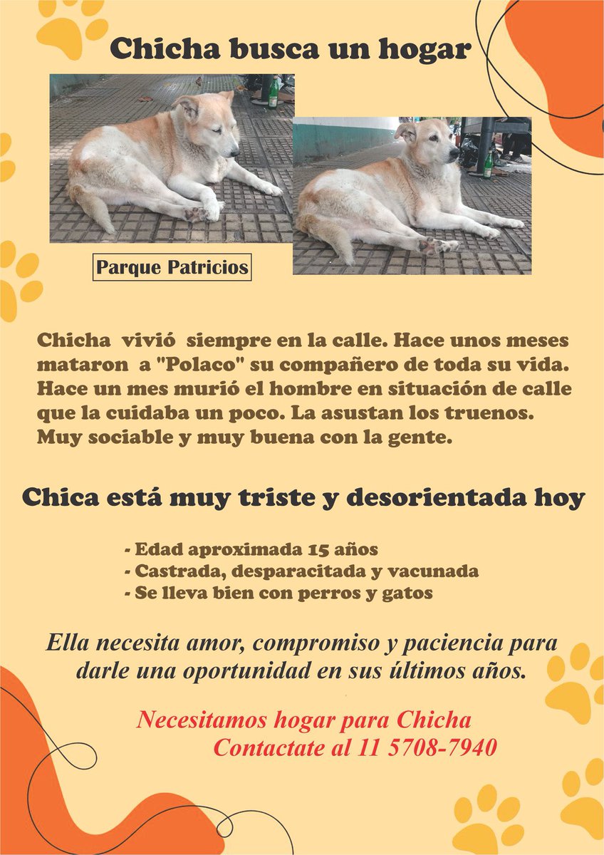 Este caso es una desgracia. Sigue en la calle. Está muy viejita. Me parte el alma. Alguien que adopte a Chicha!! RT🙏🏼