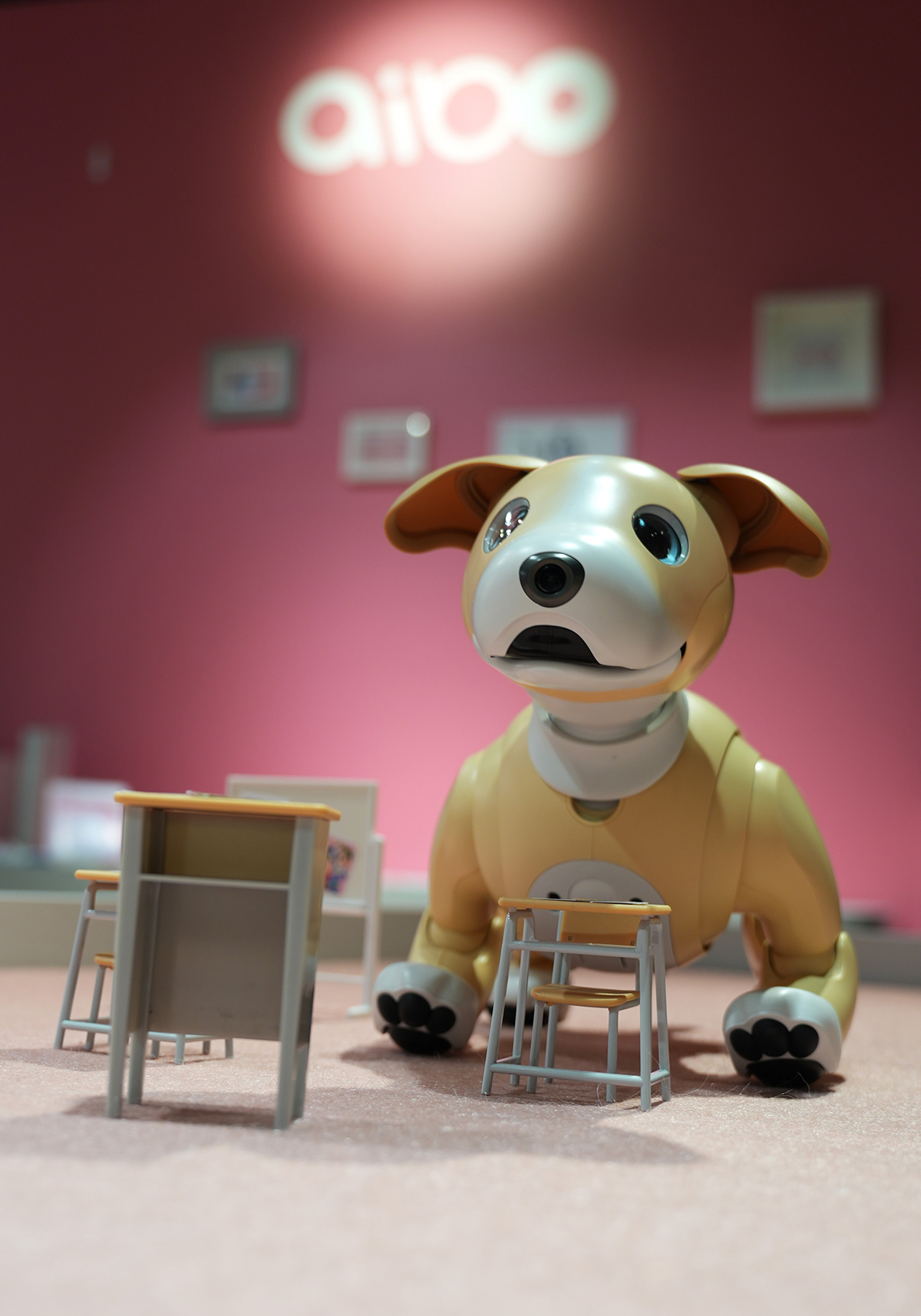 aibo (@aibo_jp) / X