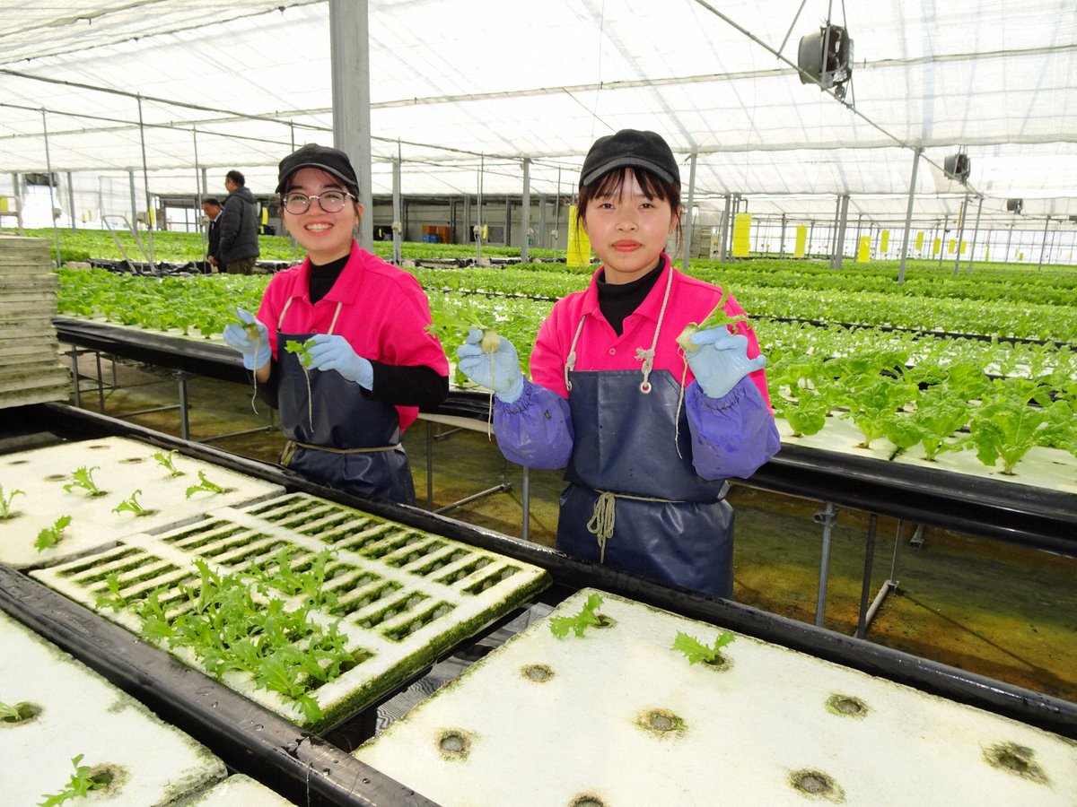 全国農業新聞 on X