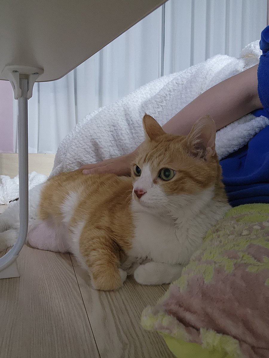 끌어 안는 건 싫지만 꼭 붙어 있겠대.