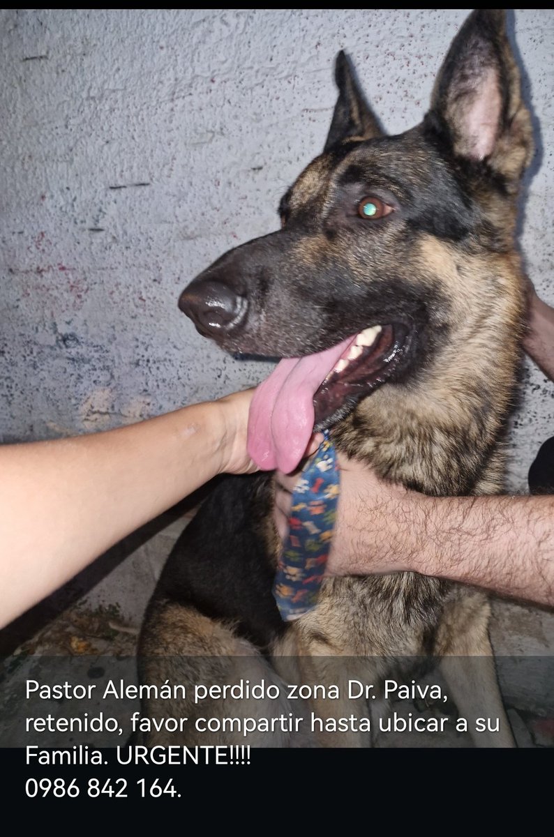 Tana 🦋🇵🇾🧉 tweet media