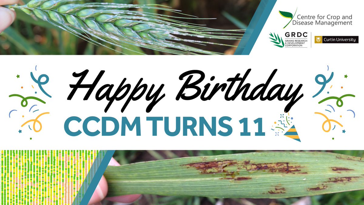 CCDM (@theccdm) on Twitter photo ๐ Happy 11th Birthday to CCDM ๐
A huge thank you to everyone who has been part of our journey, including our researchers, students, industry partners, and the agriculture community. Hereโs to another year of breakthroughs, partnerships, and progress๐พ ๐ฟ ๐ <a href="/theGRDC/">GRDC</a> <a href="/CurtinUni/">Curtin University</a> ๐ Happy 11th Birthday to CCDM ๐
A huge thank you to everyone who has been part of our journey, including our researchers, students, industry partners, and the agriculture community. Hereโs to another year of breakthroughs, partnerships, and progress๐พ ๐ฟ ๐ <a href="/theGRDC/">GRDC</a> <a href="/CurtinUni/">Curtin University</a>
