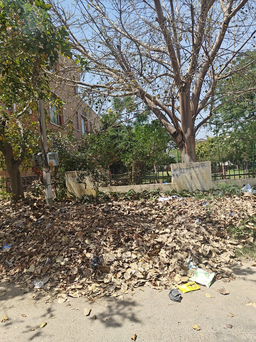 ek_samaj's tweet photo. @HaryanaVir @MCManesar @NayabSainiBJP @cmohry @VipulGoelBJP @csharyana @DC_Gurugram @ulbharyana @SwachhBharatGov @SwachSurvekshan @KumarPr97687567 Yes ofcourse it has been resolved. I can send 50 more photos within Sector 1 only. We have a small sector of 550 plots why is there any need of sharing exact location everytime just for proper sweeping and street lights not working. Can't one official take a small inspection tour https://t.co/xh7bV7L8Cs