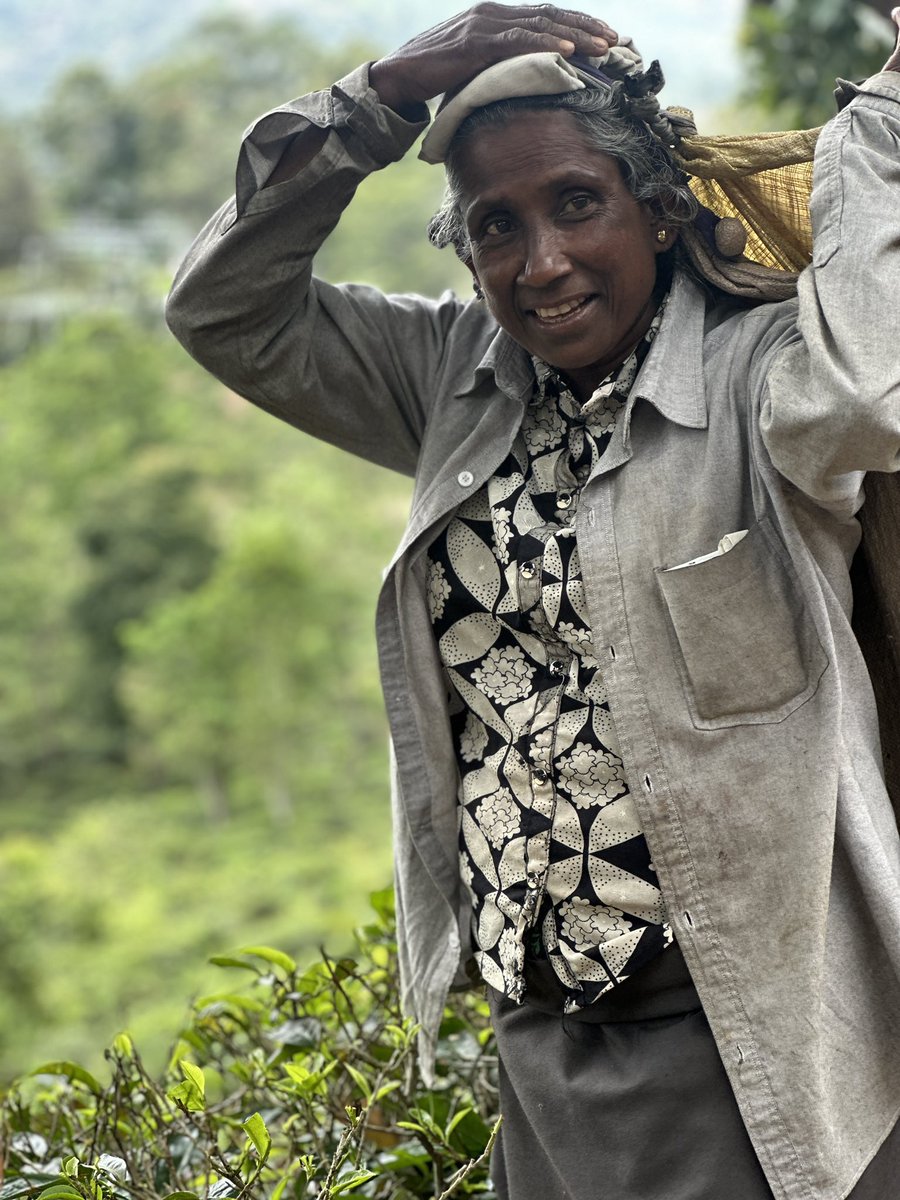 #سواق_في_سريلانكا

لدي أفضل برنامج سياحي في #سريلانكا. إذا كنت مهتمًا بزيارة سريلانكا، فيرجى الاتصال بي على الرقم أدناه