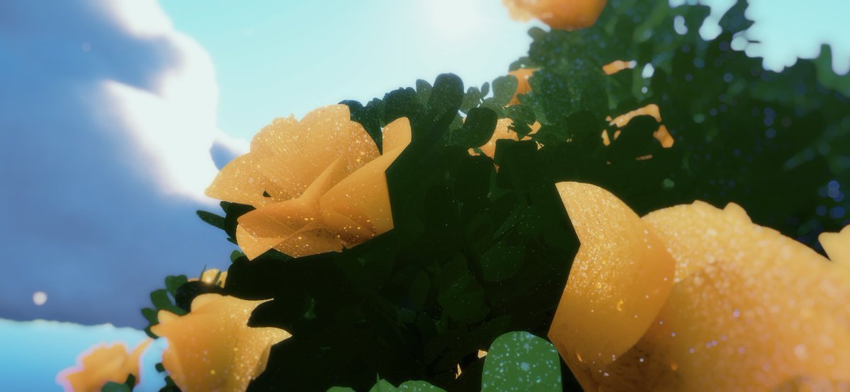 昨日久々にログインできて楽園いったらバラ咲いててびっくり🌹
今年の花えむはそっか、ばらなんだなぁ

シーズンも終わり掛けでびっくり