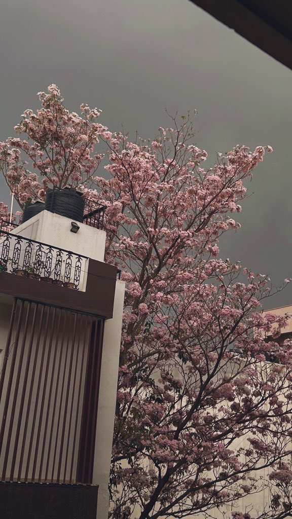 peak Bangalore weather with rain 🤌🏽🩷