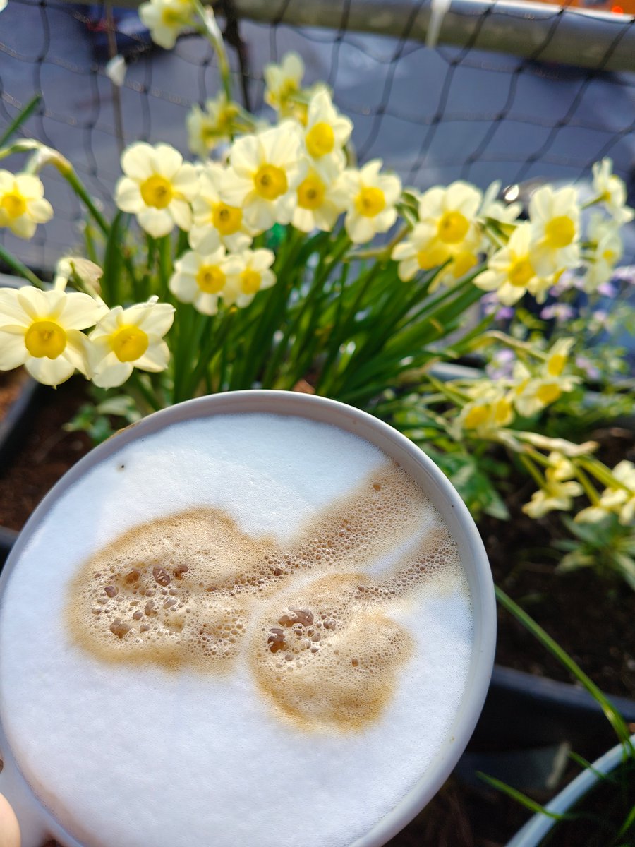 Goeiemorgen #, en goeiemorgen Yveske, deze is speciaal voor jou, geniet van de lente, en #pleurop  #teamjaxel

#bigbrothernlbe