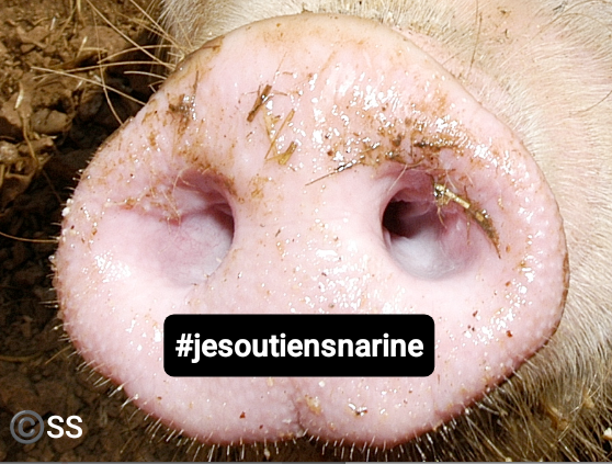 #jesoutiensnarine