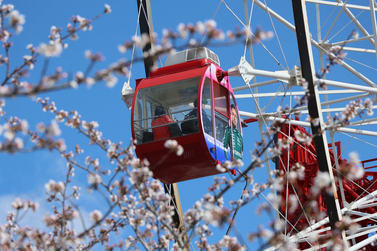鈴鹿サーキット 今日の桜🌸 #F1jp #JapaneseGP #桜