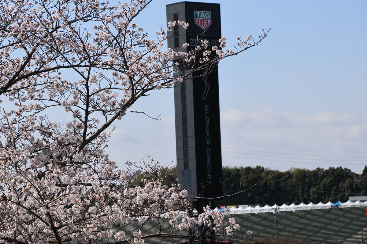 鈴鹿サーキット 今日の桜🌸 #F1jp #JapaneseGP #桜