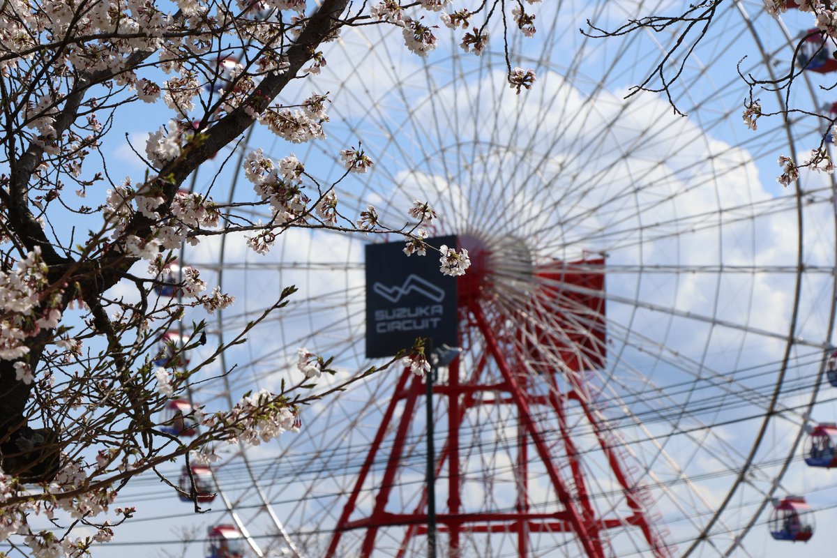 suzuka_event's tweet photo. 鈴鹿サーキット
今日の桜🌸
#F1jp #JapaneseGP #桜 https://t.co/qwxSCAcwrK
