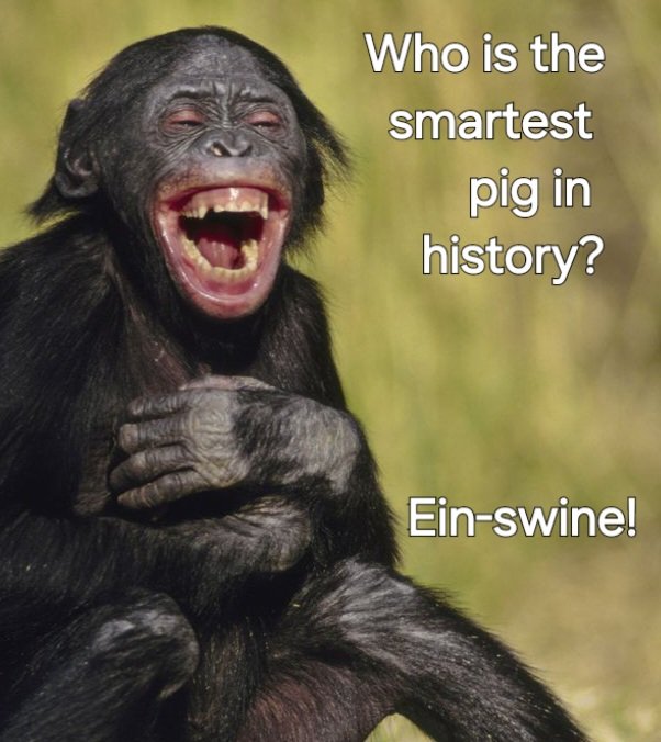 It's just £5 for small #fishandchips and £7.25 for a regular portion <a href="/ParkSquareWF5/">ParkSquareFisheries</a> Drop in and watch us cook your food or ring 01924 280278 to arrange a collection or a free delivery to #Ossett or #Horbury #chippylunch #chippytea @Thursdaymotivation #Thursdayvibe