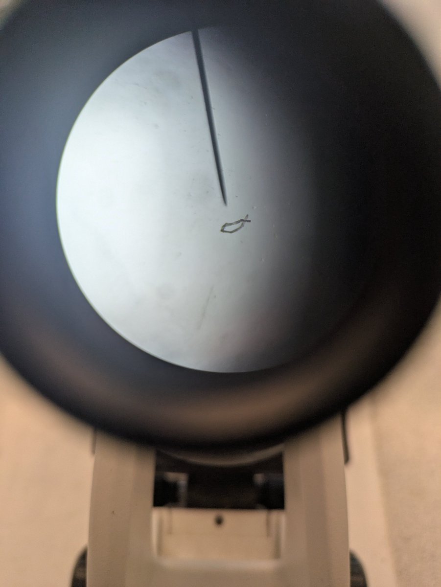 As part of our Year 8 topic ‘Variation and Inheritance’, students have been extracting DNA from fruit under a microscope. 🔬 Well done to Reggie N and Finley S who successfully managed to do this; great work! #ThisIsCourtFields2025