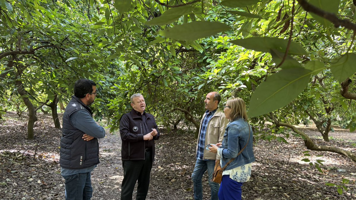 Antalya Tarımının Hafızası BATEM, Stratejik Ürünleriyle Geleceği Aydınlatıyor.

👉 fullantalya.com/batem-antalya/ <a href="/fullantalya/">FULLANTALYA.COM</a>