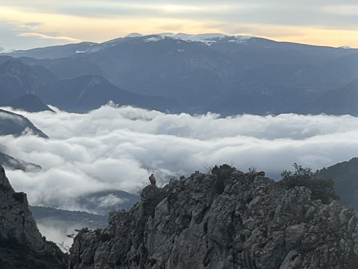 josep torra camarasa (@trempoli19) on Twitter photo Un voltor controla la boira al mirador de Boixols <a href="/meteorac1/">Meteorologia RAC1</a> <a href="/nestor_meteo/">Néstor Gómez</a> <a href="/Marti_Oliveras/">Martí Oliveras</a> <a href="/Monica_Usart/">Mònica Usart</a> <a href="/eltempsTV3/">El temps</a> <a href="/TomasMolinaB/">Tomàs Molina</a> Un voltor controla la boira al mirador de Boixols <a href="/meteorac1/">Meteorologia RAC1</a> <a href="/nestor_meteo/">Néstor Gómez</a> <a href="/Marti_Oliveras/">Martí Oliveras</a> <a href="/Monica_Usart/">Mònica Usart</a> <a href="/eltempsTV3/">El temps</a> <a href="/TomasMolinaB/">Tomàs Molina</a>