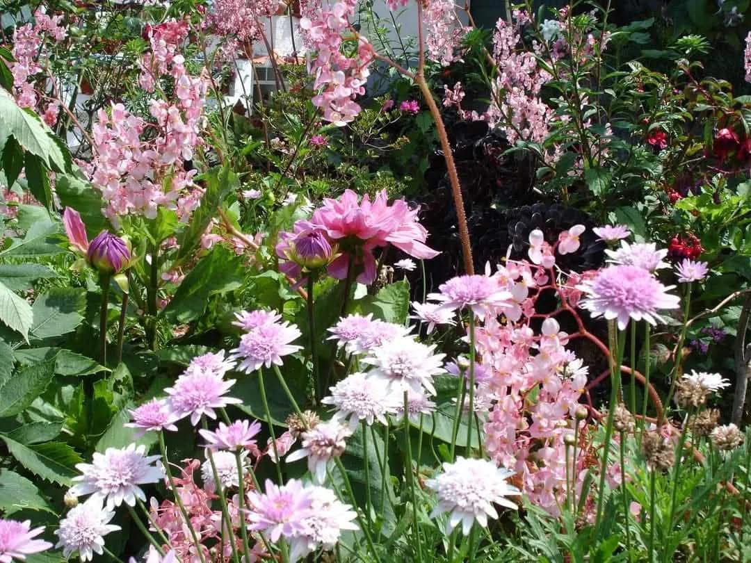 skymanuelima's tweet image. O concelho de Santana, na Ilha da Madeira, é considerado pela UNESCO como Reserva Mundial da Biosfera. Santana é conhecida pelas famosas casas cobertas por colmo. #Casas #Tipicas #Santana #Ilha_da_Madeira  #tradições #travelphotography #viagens #FotógrafoAmador #visitPortugal