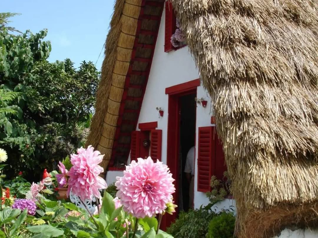 skymanuelima's tweet image. O concelho de Santana, na Ilha da Madeira, é considerado pela UNESCO como Reserva Mundial da Biosfera. Santana é conhecida pelas famosas casas cobertas por colmo. #Casas #Tipicas #Santana #Ilha_da_Madeira  #tradições #travelphotography #viagens #FotógrafoAmador #visitPortugal