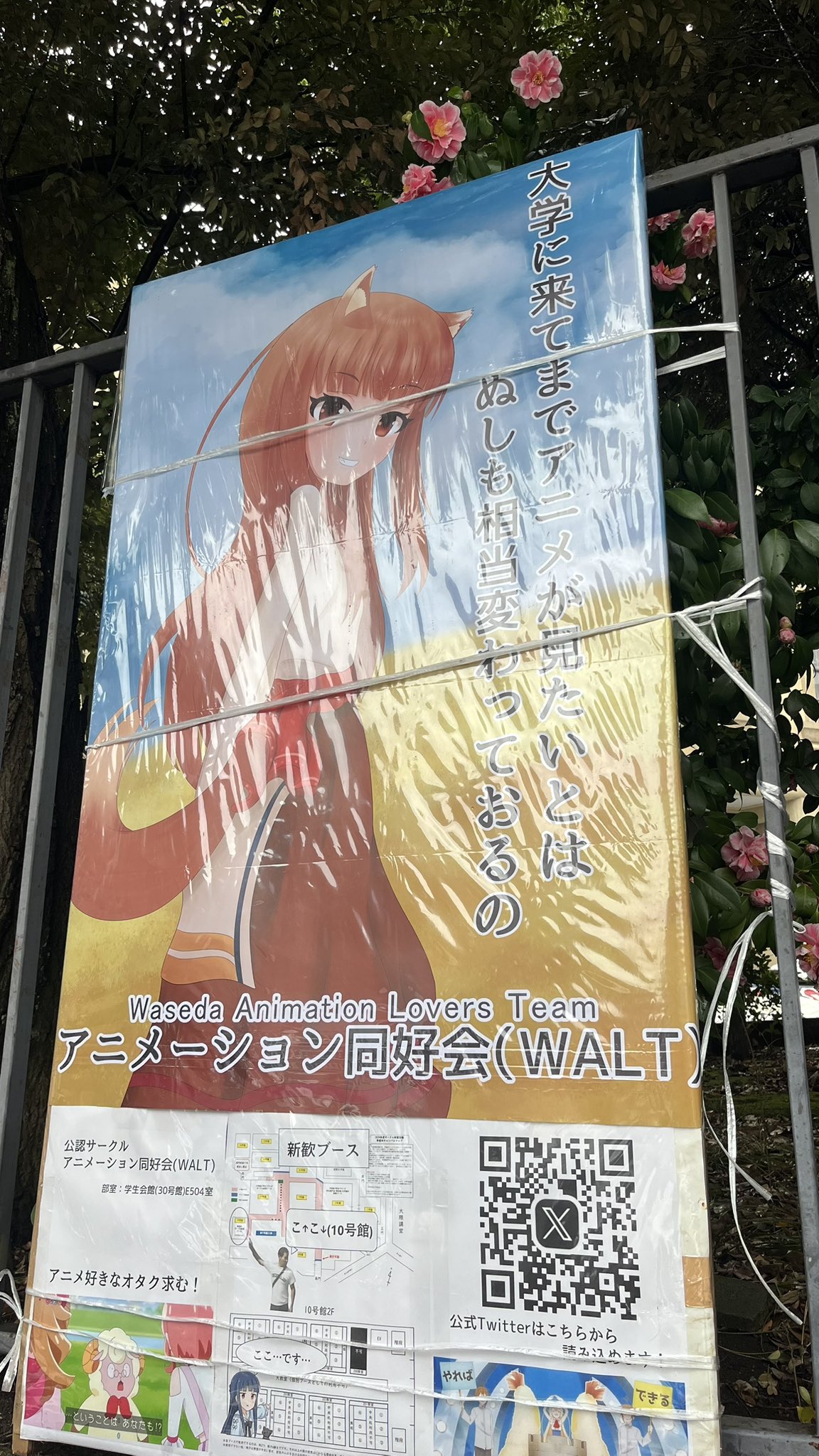 早稲田アニメーション同好会| WALTの同子|C105 月曜日西こ48b on X 
